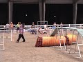 Tailwaggers AKC 8-15-08