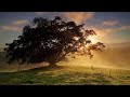 Beautiful Recitation of the Noble Quran by Moutasem al-Hameedi (Jordan), from Masjid Ghuraba. I've used an introduction by Sheikh Mishary Rashed Alafasy.May Allah bless, protect and guide all the Mu'min on the straight path to him. May he continue to shower his mercy on us. May he forgive our sins, make our homes accommodating and grant us abundance in our livelihood. All praise is due to Allah.Ameen.Jazak'Allah to http://www.calltoislam.com for providing the audio clip. Cd available at http://www.ibnmasud.org - Please order as it is for a very good cause to help towards the care of youth and especially orphans.