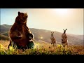 Optus - Give me the Simple Life!