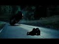 casino-royal-clip-aston-martin-dbs.html