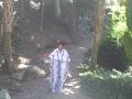 Veronica,s Gathering