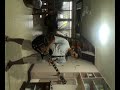 ecko