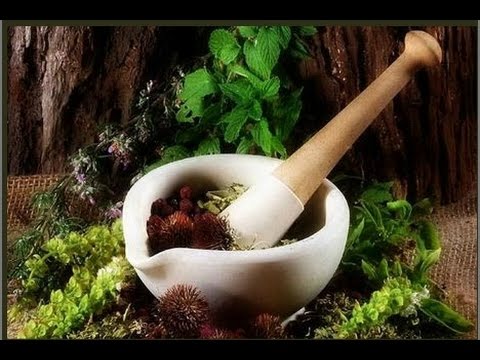 how to prepare for md ayurveda entrance exam