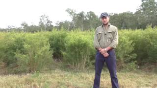 Dyason Farm : Part 2
