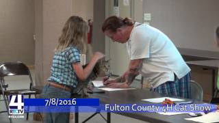 Fulton County 4H Fair - Cat Show Highlights