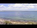 Elliston