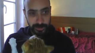 Quick Intention Episode 3 : L'animalité en quelques mots