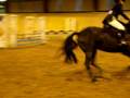 videos de MSRC Sands Farm Show Jumping 80-85cm Marmite Nov 2008 2 Phas