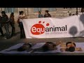 acto antitaurino en santander equanimal