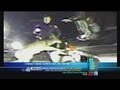 Video: Cop Discovers Dead Deer In Trunk Isn't Dead