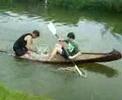 BRANDY WHARF - hammer boat