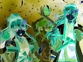A Lacus Tribute... In Negitives