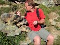 Murmeltiere in Saas Fee 2008 (mit Ton)