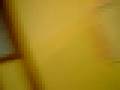 videos de Conga through staff room (H)