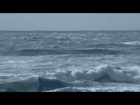 how to harvest ocean energy