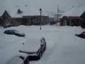 Tempete 2008