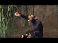 The Sims 2 Castaway - FOUND