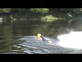 Freestyle Swimming