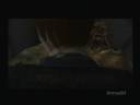Resident Evil - Code: Veronica X 10 [Claire]