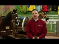 How to Become a Jockey or Rider