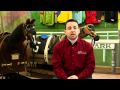 How to Become a Jockey or Rider