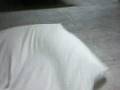 videos de Me Playing With My Ferret