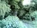 CRF 450 BASTEK CRF 450 BASTEK