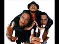 A Tribe Called Quest- Bonita Applebaum