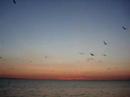 PEACE: A PERSONAL REFLECTION PEACE: A PERSONAL REFLECTION