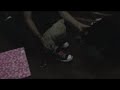 el oso - leuzemia