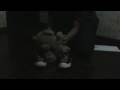 Ver Video