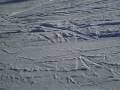 Snowboard e sci