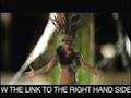 videos de Pjanoo-Official Vid