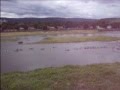 videos de Paddling on the Chemung River Elmira NY
