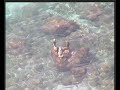 Stone Balancing Hotel Capo Vaticano Tropea beaches Calabria