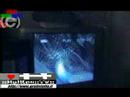 HULKEN VIDEO PAVONI IN CITTA\