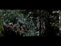 Spreeuwen zijn krengen / Starlings are bitches Spreeuwen zijn krengen / Starlings are bitches