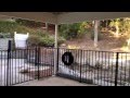 South of Ventura BLVD - Bosque Drive Encino - YouTube