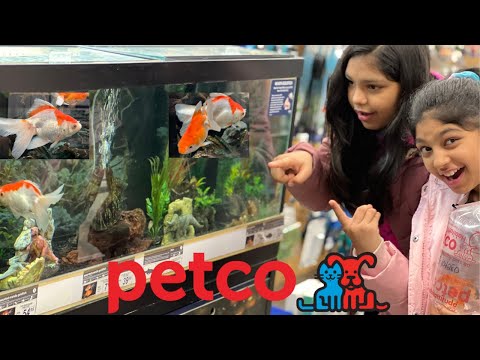 Getting 5 fish shopping at Petco