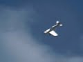 Fwd: luckiest pilot of world  ...... :)          http://www.youtube.com/watch?v=B2jlWFbWcXM (via http://ff.im/d2Der)