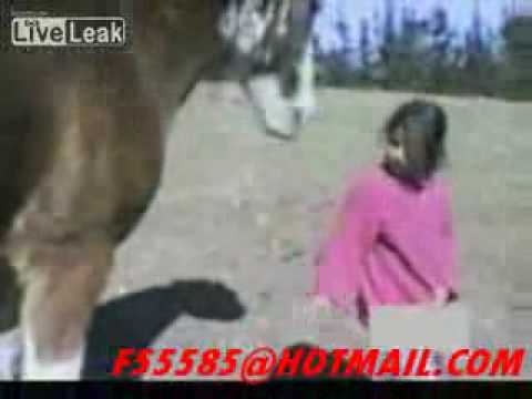 مقطع يوتوب طفلة صغيرة تضرب حصان شوف ردة فعل الحصان ..؟.3gp