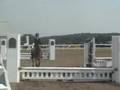 Medium Pony Hunter for Sale New Jersey