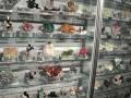 LED LIGHTING  FOR COLLECTORS CABINETS
