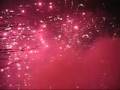 videos de Weco Tanz der Vampire 6er + 25 Karat 4er Fächer (Tiger, Tyr, Mad MaXx, Gladiator, Big Shot 1, Goal, Sol, Phoenix) Silvester 08-09