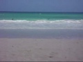 Barbados... two great sights