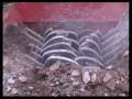 HAMMEL / Rock Crusher