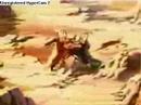 dbz on menossa varmaan kuolemaan! dbz on menossa varmaan kuolemaan!