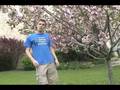 Chem Extra Credit Video