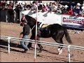 TARAHUMARA VS MUCHACHO ALEGRE