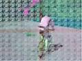videos de DougBike